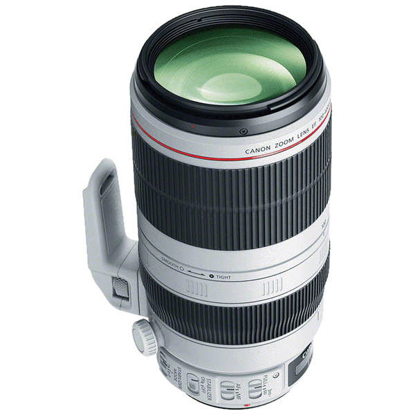 Canon 100-400/4,5-5,6 EF L IS II USM kaufen bei top-foto.de