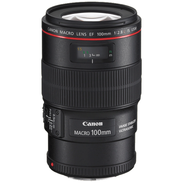 Canon 100/2,8 EF L IS USM Makro kaufen bei top-foto.de