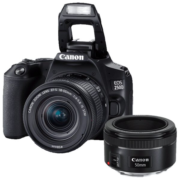 Canon EOS-250D + Canon 18-55/4-5,6 EF-S IS STM schwarz + Canon 50/1,8 EF STM kaufen bei top-foto.de