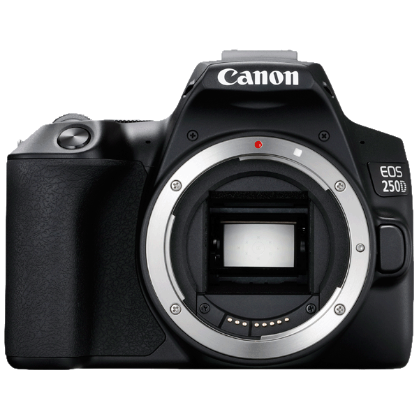 Canon EOS-250D Gehäuse kaufen bei top-foto.de