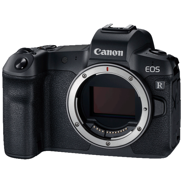 Canon EOS R Gehäuse kaufen bei top-foto.de